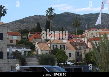 Traditional stone houses with red roof tiles and palm trees in Cavtat, Croatia Stock Photo