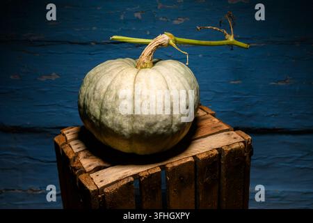Pumpkin on wooden crate against blue wall in moody lighting. Minimal autumn still life with squash and rustic texture Stock Photo