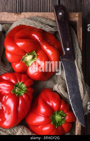 Close up of red bell peppers in crate with knife detail. Fresh sweet peppers, natural harvest theme Stock Photo
