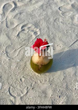 Fresh coconut drink with red hibiscus flower standing on sunlit beach sand. Stock Photo