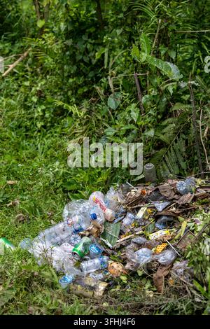 Ubud, Bali, Indonesia, March 18, 2026. Plastic bottles, cans and mixed household rubbish lie discarded beside dense roadside vegetation. Stock Photo