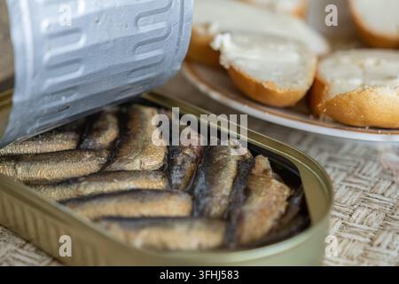 An open can of oily sardines sitting beside buttered crusty bread on a rustic tabletop, symbolizing convenient nutrition, traditional seafood cuisine, Stock Photo