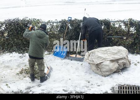 Gardeners tidy a yard covered in snow by removing seasonal foliage with hand tools, illustrating landscape maintenance and site cleanup tasks in a chi Stock Photo