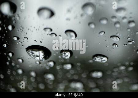 A wide dense field of raindrops covers dark glass, with numerous drops clearly reflecting an inverted pine forest scattered across the entire frame Stock Photo