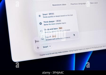 Poznan, Poland - February 9, 2026: Digital interface displaying chatbot configuration settings on a desktop monitor for modern software development an Stock Photo