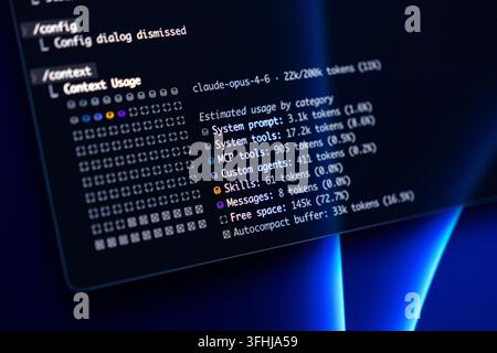 Poznan, Poland - February 9, 2026: An interface showing detailed software token capacity and usage statistics, reflecting technical monitoring of adva Stock Photo