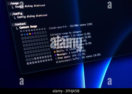 Poznan, Poland - February 9, 2026: System monitoring interface displays token allocation metrics for an artificial intelligence model to help develope Stock Photo