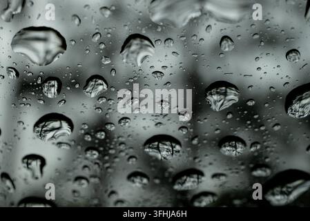 A wide dense field of raindrops covers dark glass, with numerous drops clearly reflecting an inverted pine forest scattered across the entire frame Stock Photo