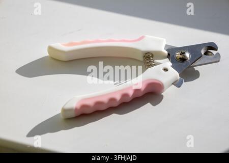 Pet nail trimmers with pink handles rest on a smooth white surface in direct sunlight. A distinct shadow extends across the light background from the Stock Photo