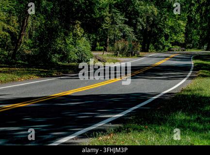 A dark gray paved surface that curves gently toward the right. Stock Photo