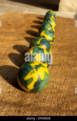 Marbled green and yellow soap balls rest in a row on a burlap cloth in the sunlight, North Governorate, Tripoli, Lebanon Stock Photo