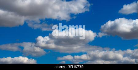 Wide panoramic view of large white and grey cumulus clouds against an intense blue summer sky, creating a vivid and atmospheric natural background. Stock Photo