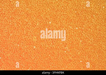 Macro shot of sponge texture Stock Photo