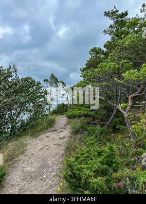 Scenic coastal hiking trail winding through pine woodland and lush vegetation beside the ocean beneath dramatic overcast skies, evoking outdoor advent Stock Photo