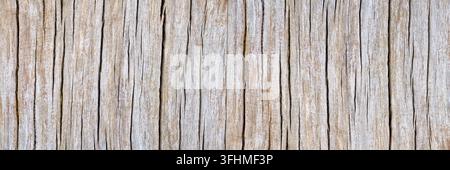 Bright weathered wood texture with coarse vertical cracks Stock Photo