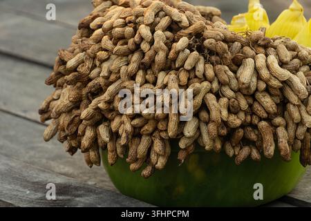 Close-up of a pile of unpeeled raw or boiled peanuts and corn in a green bowl placed on a rustic wooden table. Stock Photo