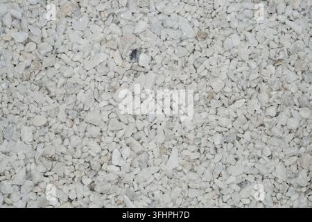 Texture of light grey and white crushed gravel or small stones. Dense uniform background with irregular rocky fragments Stock Photo