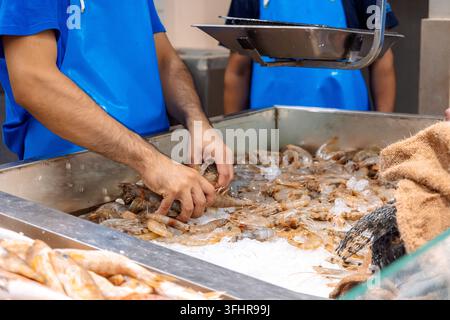 Colorful selection of seafood at fish market in Rhodes, Greece Stock Photo