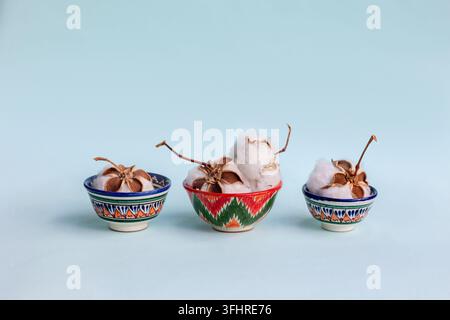 Cotton white dry plant flowers in national Uzbek bowls. Fluffy cotton balls on blue background, closeup Stock Photo