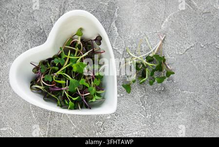 Red radish microgreens on a concrete table, healthy concept Stock Photo