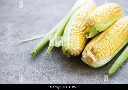 Fresh corn on cobs Stock Photo