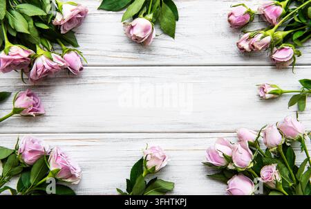 Frame made of pink rose flowers on white wooden background. Stock Photo