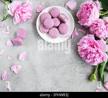Pink peony with  macarons on a concrete background Stock Photo