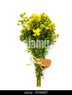 Bunch of St. John's wort on a white Stock Photo
