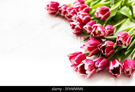 Pink spring tulips on a white marble  background Stock Photo