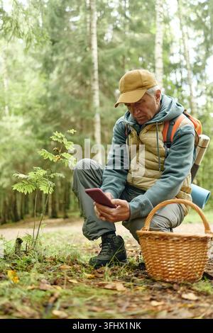 Senior Man Using Smartphone for Plant Identification in Forest Stock Photo