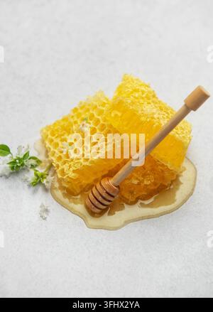 Honeycombs with wooden honey dipper and small white flowers on light background Stock Photo