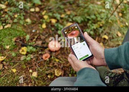Senior Man Using Smartphone App for Mushroom Identification Stock Photo