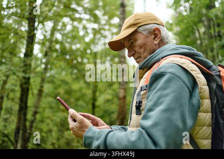 Senior Man Using Smartphone for Navigation during Hike in Forest Stock Photo