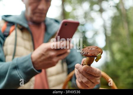 Senior Man Taking Photo of Mushroom Using Smartphone in Forest Stock Photo