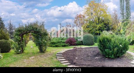 Winding Stone Path Among Tall Pine Trees In Autumn Garden Stock Photo