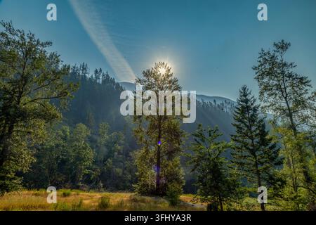 Sunlight streaming through tall evergreen trees in a lush mountain forest landscape at sunrise, Asha Mahakaleshwar Temple, 22580 Coquihalla Hwy, Hope, Stock Photo