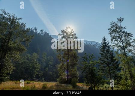 Sunlight streaming through tall evergreen trees in a lush mountain forest landscape at sunrise, Asha Mahakaleshwar Temple, 22580 Coquihalla Hwy, Hope, Stock Photo