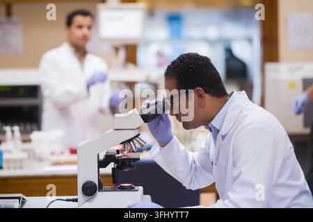 Middle Eastern and Arab medical professionals working in a clinical blood testing laboratory, a technician examining samples under a microscope while Stock Photo
