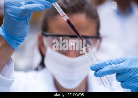 Young medical technician carefully transfers a blood sample with a pipette into a test tube in a clinical laboratory, wearing gloves, safety goggles a Stock Photo