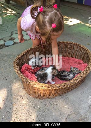 Cute toddler girl reaching into a wicker basket Stock Photo