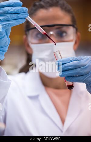 Young lab technician wearing mask and gloves pipetting blood into a test tube in a clinical laboratory Stock Photo