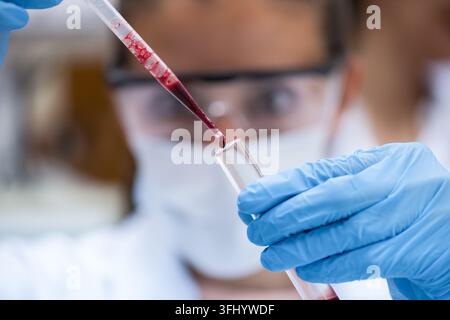Middle Eastern and Arab young doctors with a lab technician wearing masks and gloves carefully pipetting blood into a test tube during clinical blood Stock Photo