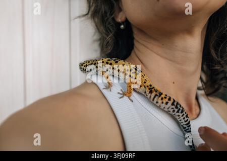 Leopard gecko pet resting on its owner's shoulder Stock Photo