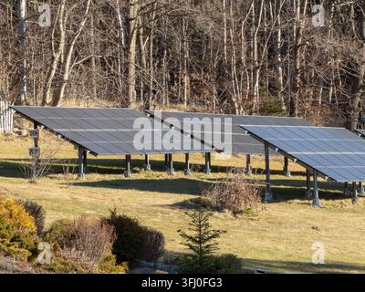 Photovoltaic panel rows set on a sunlit meadow edge against forest trees, capturing sunlight for efficient electricity production and promoting enviro Stock Photo