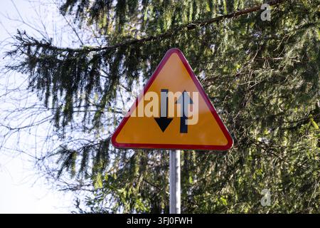 Triangle warning road sign with vertical arrows symbolizing dual direction flow mounted on a pole amidst evergreen conifer foliage to provide importan Stock Photo
