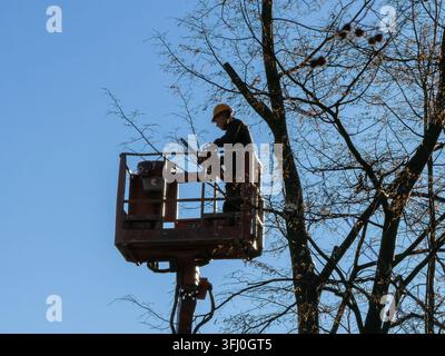 Szklarska Poreba, Poland - December 18, 2025: Professional worker cuts tree limbs from a hydraulic basket, demonstrating safe arboriculture maintenanc Stock Photo