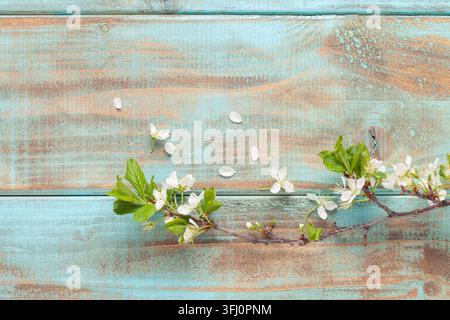 Easter background with   colored eggs and decorations on green background . Top view. Flat lay Stock Photo