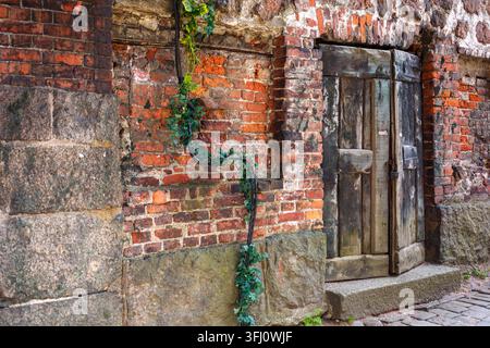 Old Vintage Brick Stone Wall with Wooden Door and Climbing Green Ivy Vine in Courtyard Stock Photo