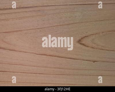 Close-up full frame background of a smooth light brown wood plank texture, showcasing natural organic grain patterns and curved timber lines Stock Photo