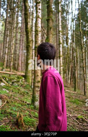 Rear view portrait of a man in a magenta sweatshirt standing among tall trees and looking into woodland near an isolated mountain property in Mijoux, Stock Photo